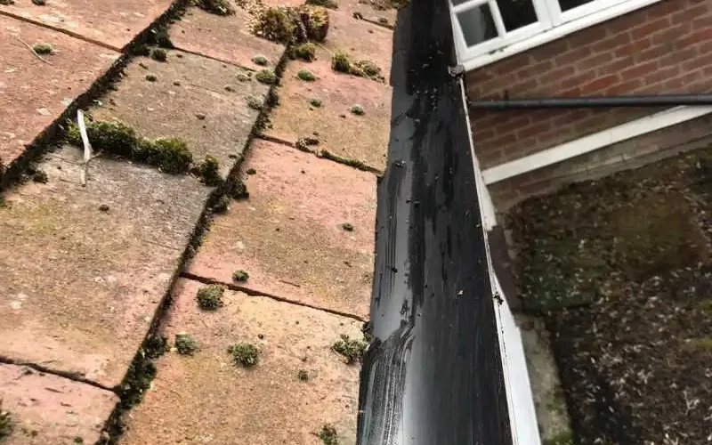 after gutter cleaning photo